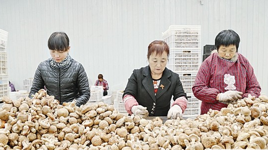 {9G0A6G[ZQ)9RR~OX_ND~ID