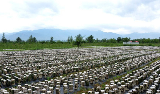 5U9D1V36FYA0WP]{94O1[RY