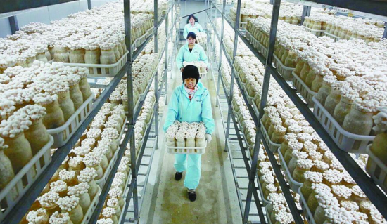 _JBX@}G2DVHK~P(N0%66BCU