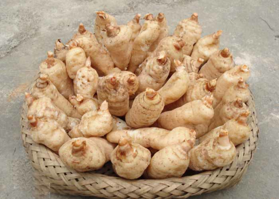 1134121_1397717325332732