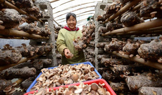 PC3CPFXZ%XKQO7[}${CC7WU