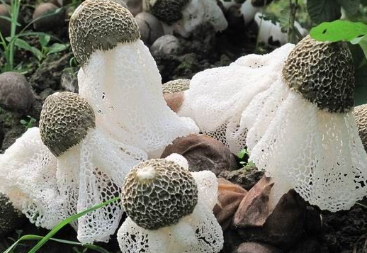 P%P@]}CN1H72}4LEO_S`NV1