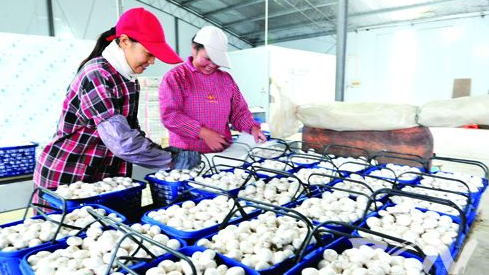 F{)2$GA~IB3%N4R6}76I1AJ