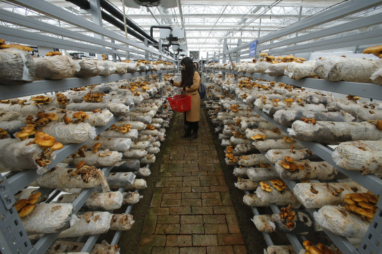 ea0c2f61b7043984017f3e175a8ff5d2_编辑