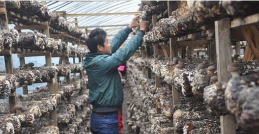 `XH]%(09CAA]00Q$QU~)E43