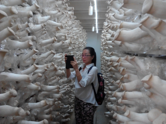 cms_53ffa27f4c8944fc8c074fe168656e3e