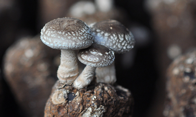 (]]X]~)URXZOZD%Y9VJ{_(M