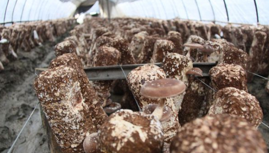 9G8U~8X2GTIR(F9R_J@)U67