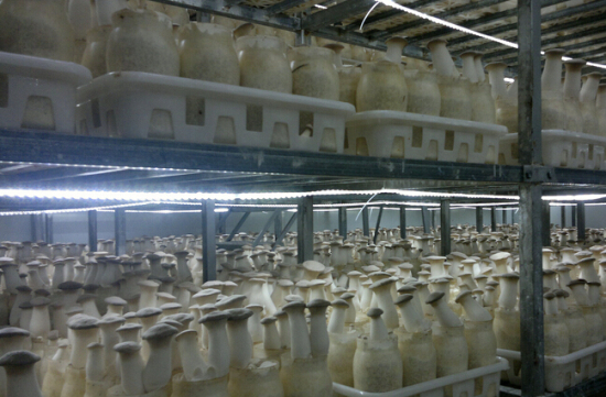 ~Q%_8D2Z(`T2S4M{1Y2TAU5