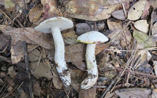 65EUUS%3%ET)0EA(U[WOU8I