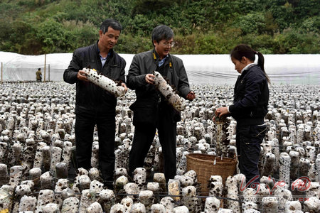 20151204085038-952599-培训班4