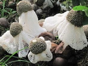 u=1165959004,425500644&fm=21&gp=0