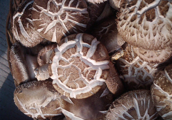 9885883_173119842000_2