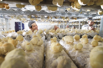 00300089803_d7063174