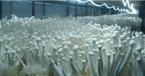 X4CU4{Z$N]`_831$]PA@%1D