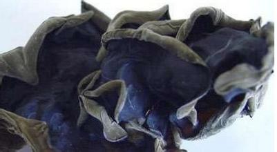 u=884330317,3017035323&fm=21&gp=0