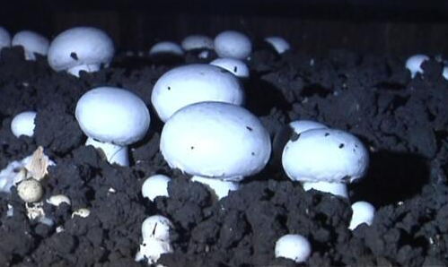 @$U3QLA%~%1PEB44`OA6TFT