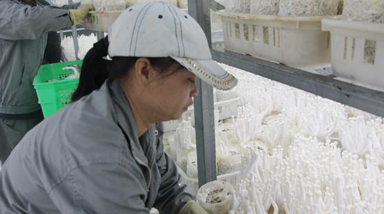 KL1D_)0IPT}23KGALO4}G9D