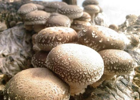 35@KUEI2}{CMU(~J04~_TCJ