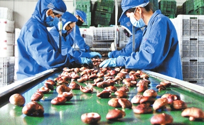 1117562752_14497377207031n