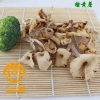 榆黄蘑东北野生榆黄蘑批发零售招找理
