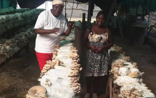 [V@KL56]EK]WO3CSDTWUJ3M