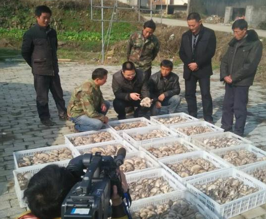 @}Y2U(T2KT)0E%ZBYG4_LNT