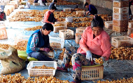 Z%85HG)KWH7STS(~`BYQ)@2