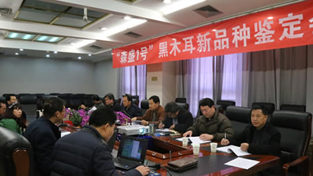 EORR7JS)H2OBCRDC)@{ED6E