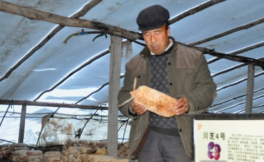 BQPA8XOMXQ6$N49]LY@Z]OJ