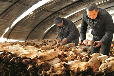 6a1f467f-4b2f-4f76-aa3a-cbe96db3a583