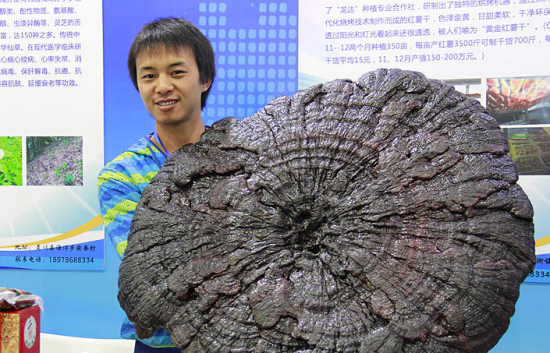 @[IEV26OV]3W$AR)F`F_N(H