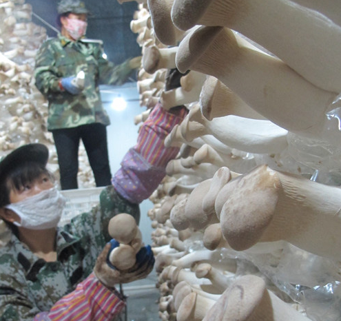 5TGR52TLL0U9@FS}[H4~{V0