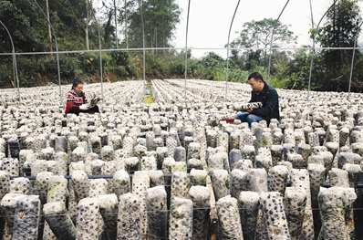 ZT`NX3$CZI8U5%`YS0IWIER