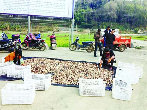 1117789953_14528415432171n