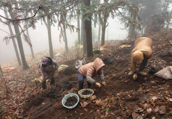 B34OUC`MG[0Y$`U37HSCAWE