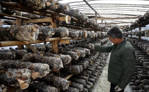 P8_F0ADH~]LN0L7{`{Q0WB8