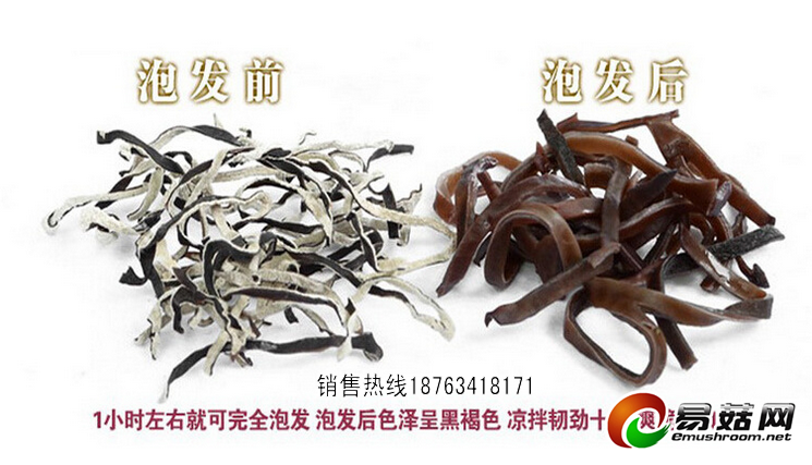 QQ图片20150416134431_conew1