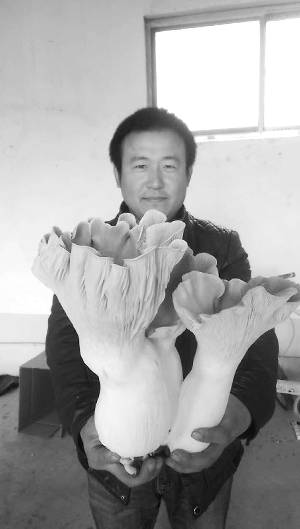 ff74d9000989cb8_w300_h529