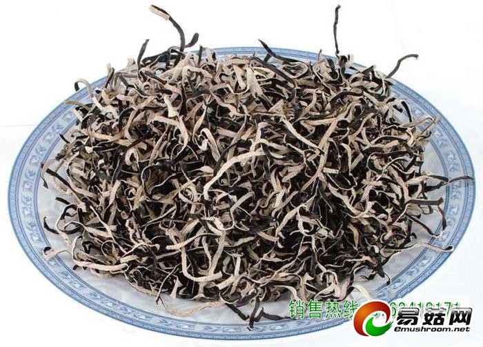 taileweishipin0931012_conew2