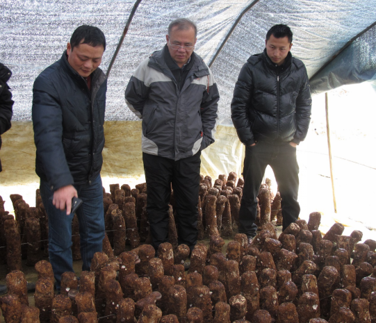 MZ@O}6NKH}6}4I[IXXT)5`4