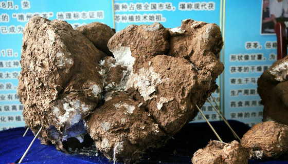 WD_97[~S3M6E[G6GI~~)_@B