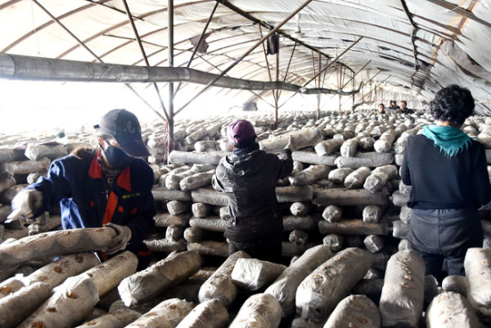 135101629_14555816445211n