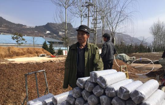 QZK5X7B0I3_OVF`4BCT33$N