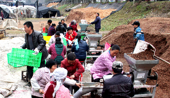 WN6)9GYZXT8LMSKASA1_`NT