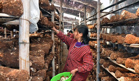 ETOL8{51KXKMMJOAY)T7Q4Y