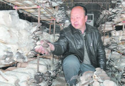 4C@@0}4NIS1[7QT()$198[4