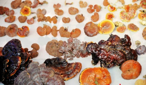 73EJ`9B~X@A}O2765Q~5@[3