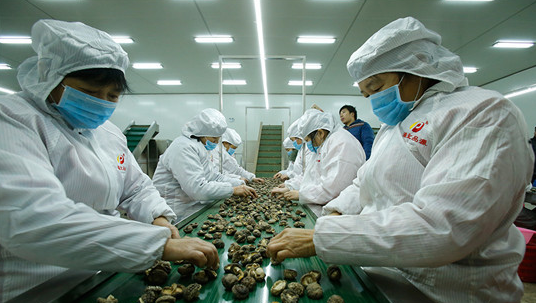 2YCQ8XFW_[`%A}UW(%1CD8N