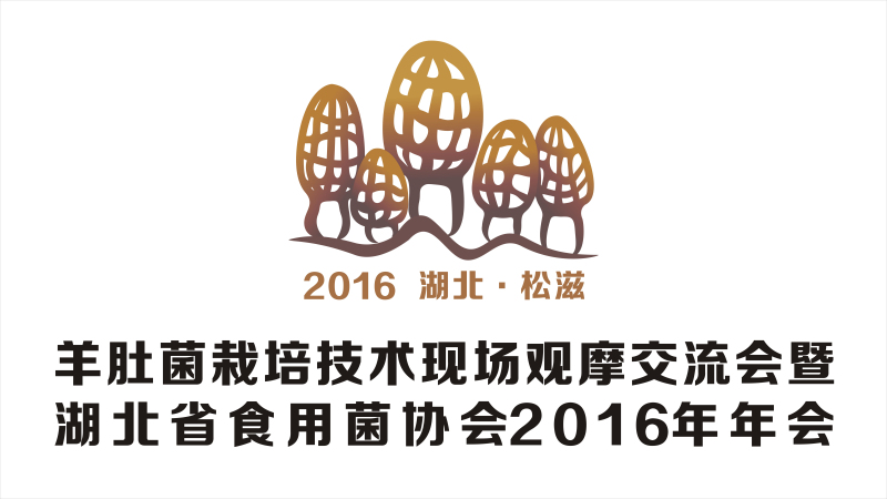 2016Manbetx体育手机版推荐A9版本Manbetx体育手机版推荐A9版本现场观摩交流会--LOGO2